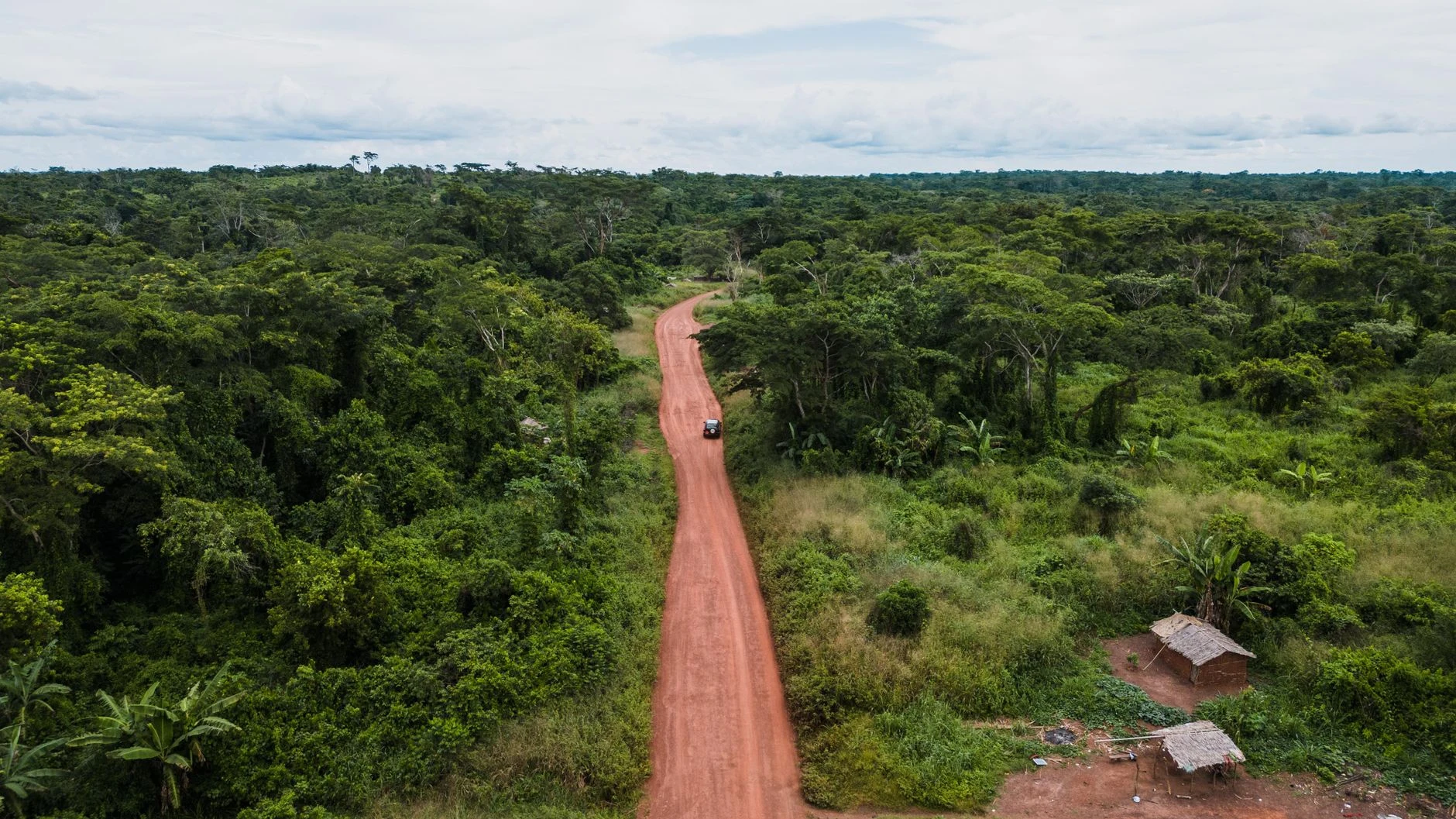 Wingu : Un acteur clé du marché numérique en Afrique de l'Est